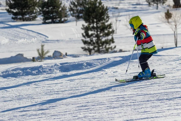 Sochi Ρωσία Ιανουαρίου 2022 Αλπικό Σκι Στη Χειμερινή Ηλιόλουστη Μέρα — Φωτογραφία Αρχείου