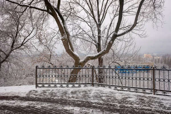 装饰金属围栏 冬天在雪地的公园里 — 图库照片