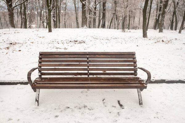 Landscape winter park, wooden bench in the snow.