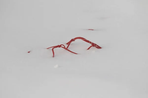 スキー場の赤い網 — ストック写真