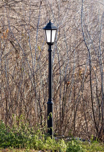 Lâmpada Decorativa Parque Natureza — Fotografia de Stock