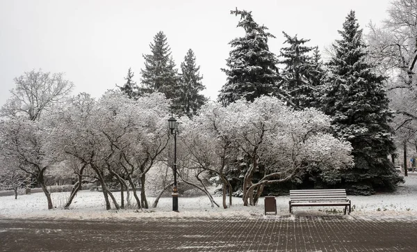 Paesaggio Parco Invernale Panca Legno Sulla Neve — Foto Stock