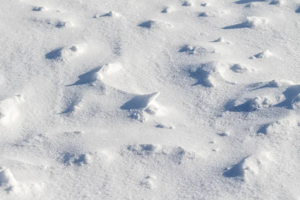 Schnee Eis Schneesturm Verschneiter Hintergrund — Stockfoto