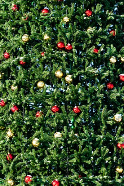Christmas Tree Background Balls Christmas Tree — Stock Photo, Image