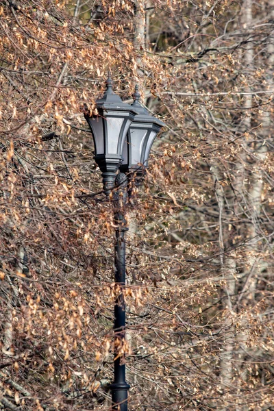 Lámpara Decorativa Parque Naturaleza — Foto de Stock