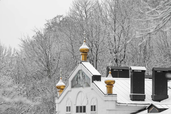 Lipetsk Russia December 2021 Winter Landscape Building God Temple Snow — Stock Photo, Image