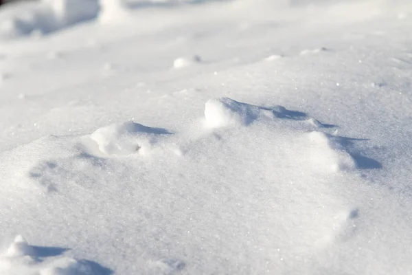 Lód Śnieżny Śnieżyca Śnieżne Tło — Zdjęcie stockowe