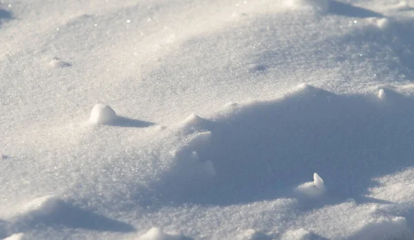 Kar Kar Fırtınası Karlı Zemin — Stok fotoğraf