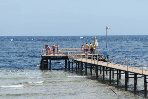 Sharm Sheikh Mısır Şubat 2022 Erkekler Kadınlar Yüzer Güneşlenir Deniz — Stok fotoğraf