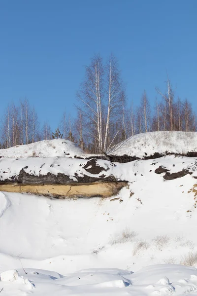 Witte Sneeuw Bos Blauwe Lucht Winterlandschap — Stockfoto