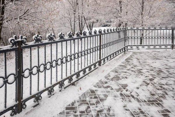 Decoratieve Metalen Omheining Winter Een Besneeuwd Parklandschap — Stockfoto