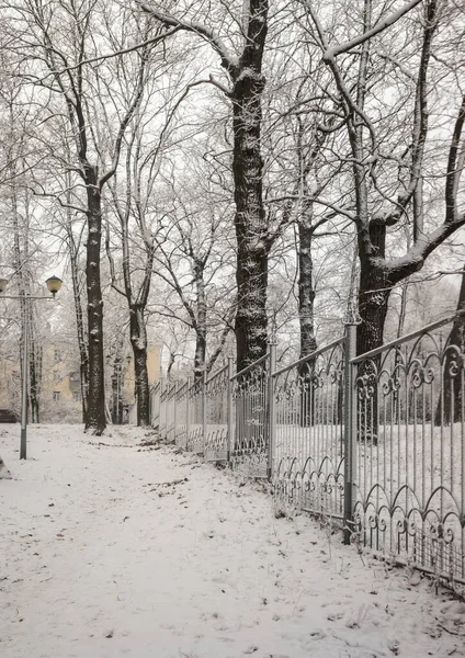 冬の公園 雪の森 — ストック写真