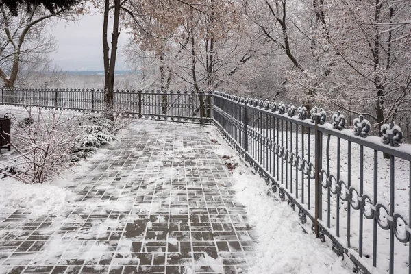 雪の公園の風景の中で冬に装飾的な金属製のフェンス — ストック写真