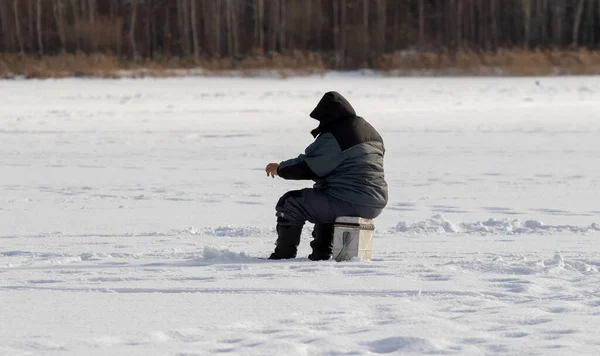 Lipetsk Rusia 2022 Pescadores Sobre Hielo Invierno Pesca Invierno — Foto de Stock