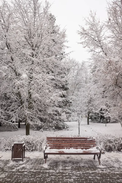 Paysage Parc Hiver Banc Bois Dans Neige — Photo