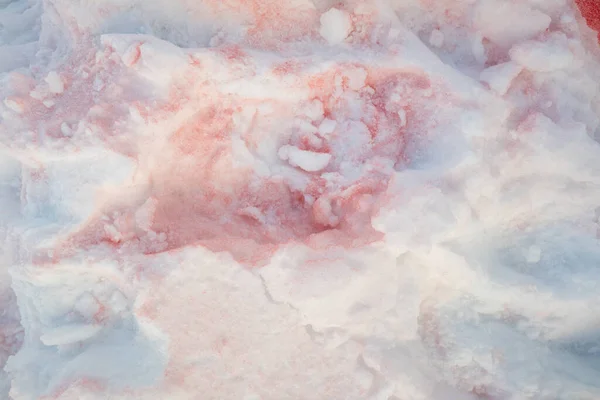 雪上的血 雪上的红色油漆 — 图库照片