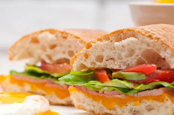 Ciabatta panini sandwich oeufs tomate laitue — Photo