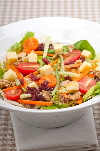 Fresh colorful healthy salad — Stock Photo, Image