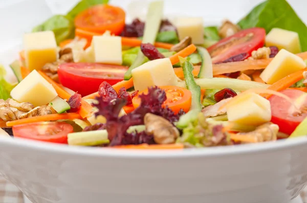 Fresh colorful healthy salad — Stock Photo, Image