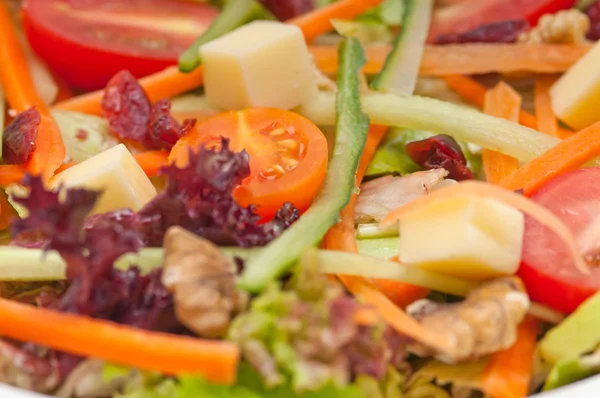 Frischer bunter gesunder Salat — Stockfoto