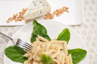 İtalyan makarna penne gorgonzola ve çam fıstığı