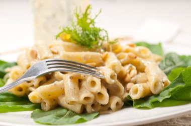 İtalyan makarna penne gorgonzola ve çam fıstığı