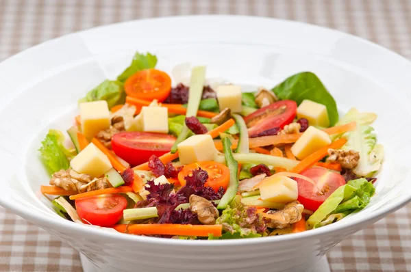 Frischer bunter gesunder Salat — Stockfoto