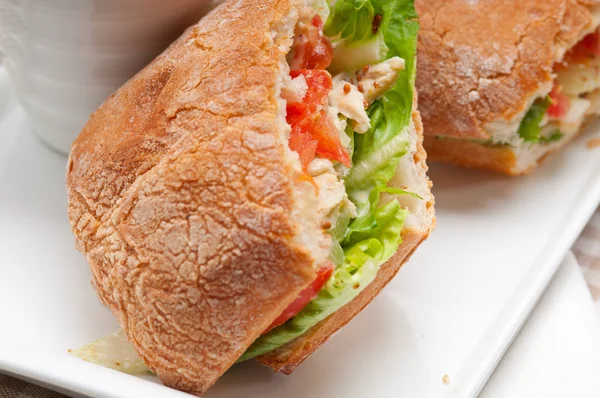 チャバタ鶏とトマトのパニーニ サンドイッチ — ストック写真