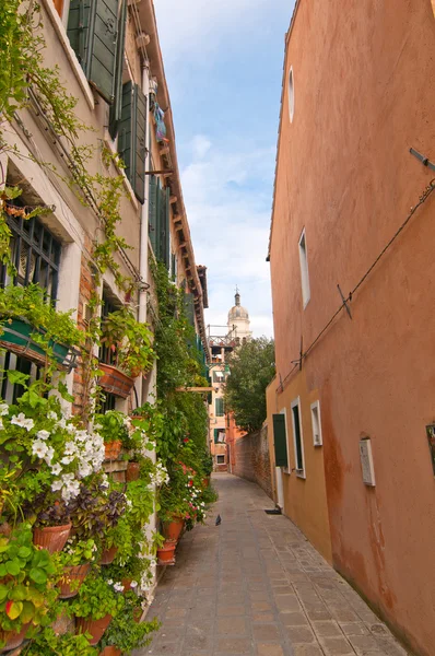 Venice Italy unusual scenic view — Stock Photo, Image