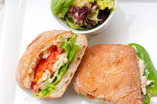 Sanduíche de ciabatta panini com frango e tomate — Fotografia de Stock