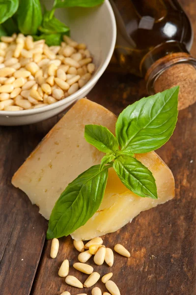 Bazylia włoskiego pesto składników — Zdjęcie stockowe