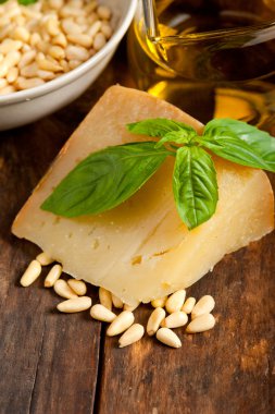 İtalyan fesleğen pesto malzemeler
