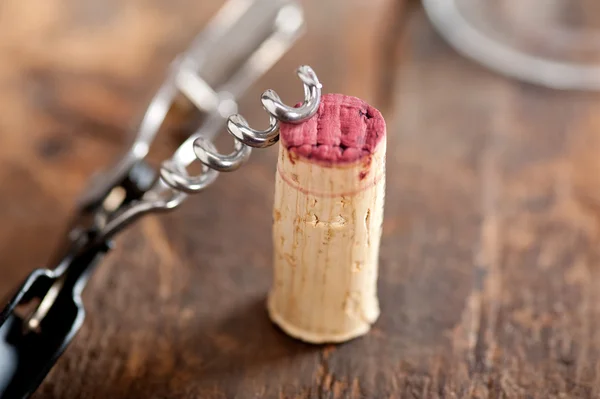 Dégustation de vin rouge — Photo