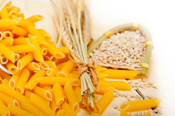 Korte Italiaanse Pasta Penne Met Durum Tarwe Granen — Stockfoto