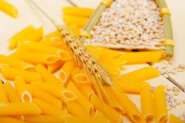 短的意大利通心粉通心粉配硬粒小麦籽粒 — 图库照片