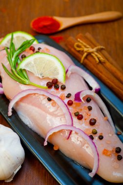 Bitki ve baharatlı taze organik tavuk göğsü.