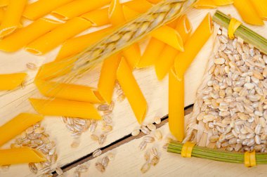 durum buğday taneleri ile kısa İtalyan makarna penne