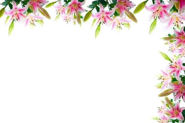 Lily çiçek kompozisyon çerçeve beyaz boşaltmak üzerine