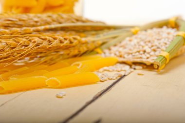 durum buğday taneleri ile kısa İtalyan makarna penne