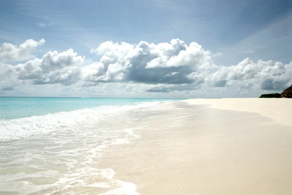 热带海滩上的海浪 图库图片