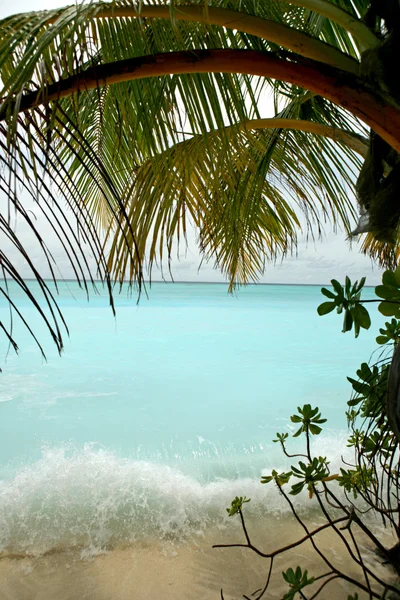 Paraíso tropical — Fotografia de Stock