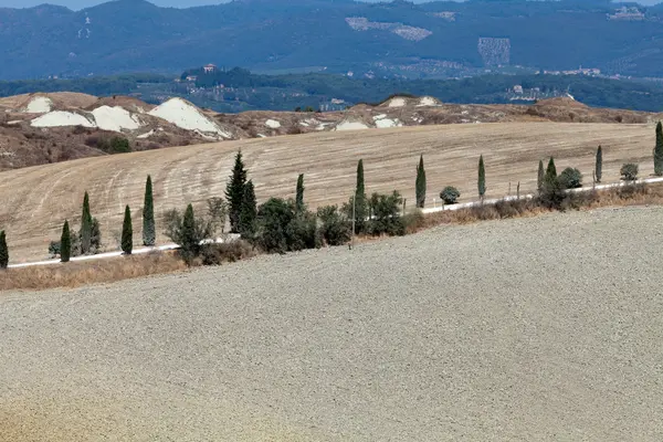クレテ ・ セネージ - トスカーナの風景。イタリア — ストック写真