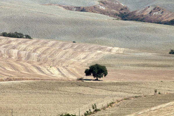 Κρήτη senesi - το τοπίο της Τοσκάνης. Ιταλία — Φωτογραφία Αρχείου