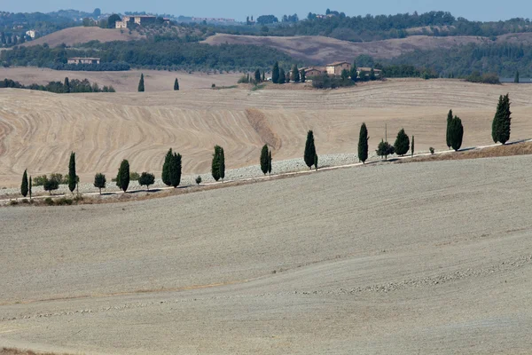 Crete senesi - het landschap van de Toscane. Italië — Stockfoto