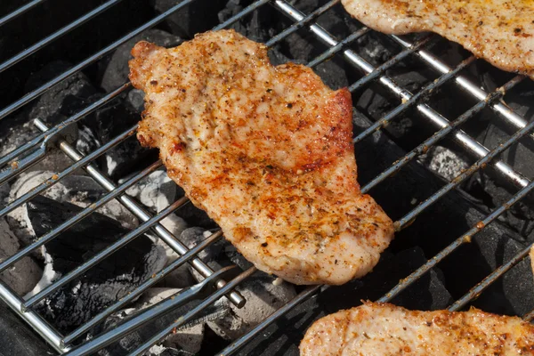 Churrasco com deliciosa carne grelhada na grelha — Fotografia de Stock