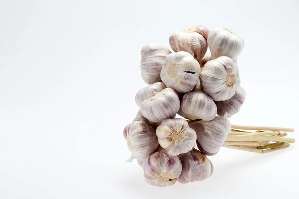 Fresh garlic on white background — Stock Photo, Image