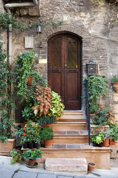 Blommor i krukor på stentrappan medeltida hus i assisi, — Stockfoto