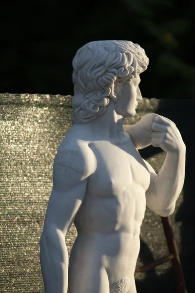 Copy of Statue of David — Stock Photo, Image