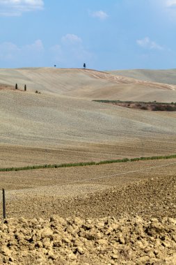 Girit senesi - Toskana peyzaj