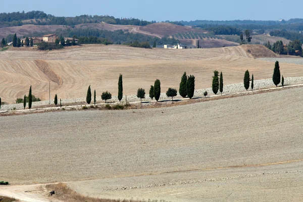 Крит senesi - краєвид в Тоскані — стокове фото